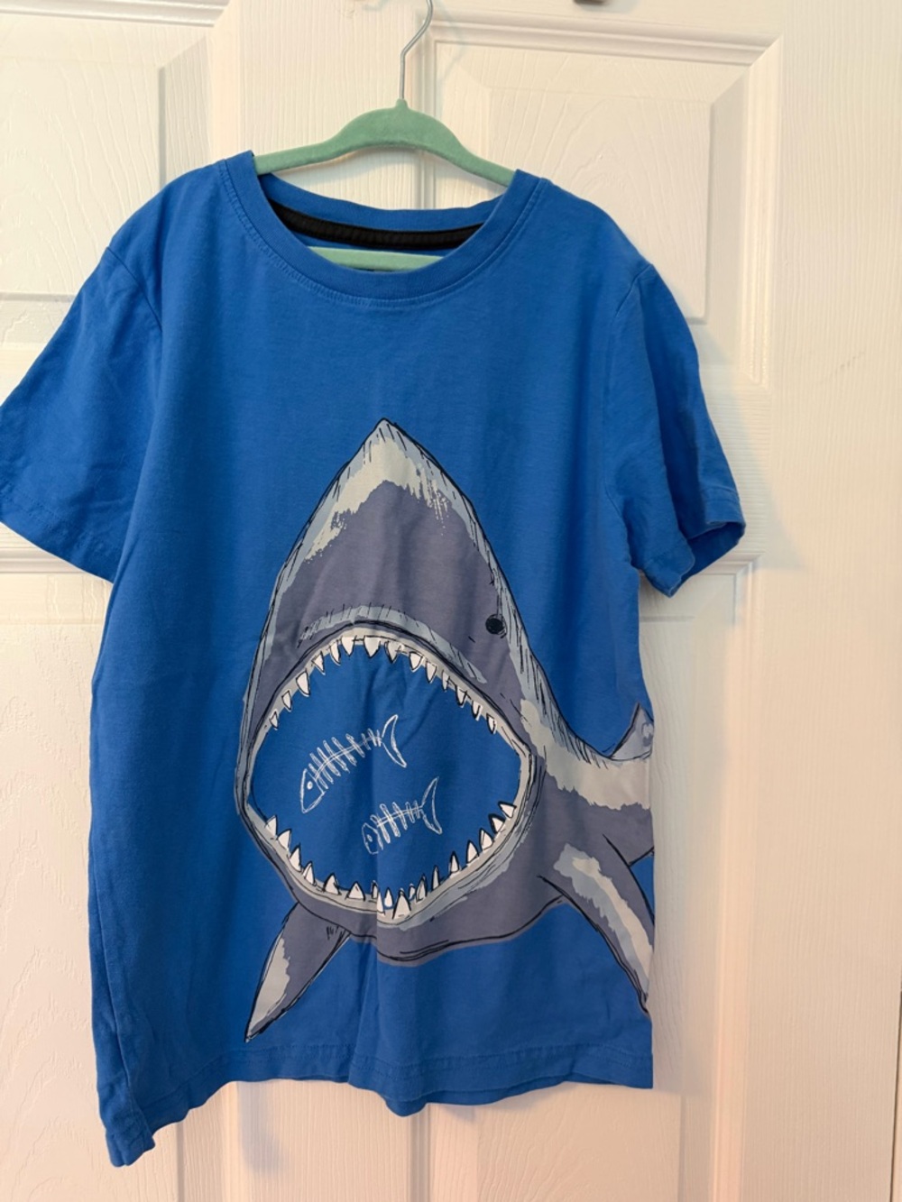 Tea Collection Royal Blue Shark Graphic Tee